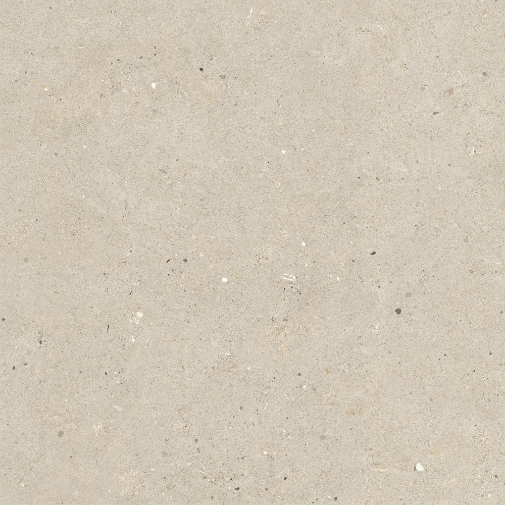 Fossil Beige