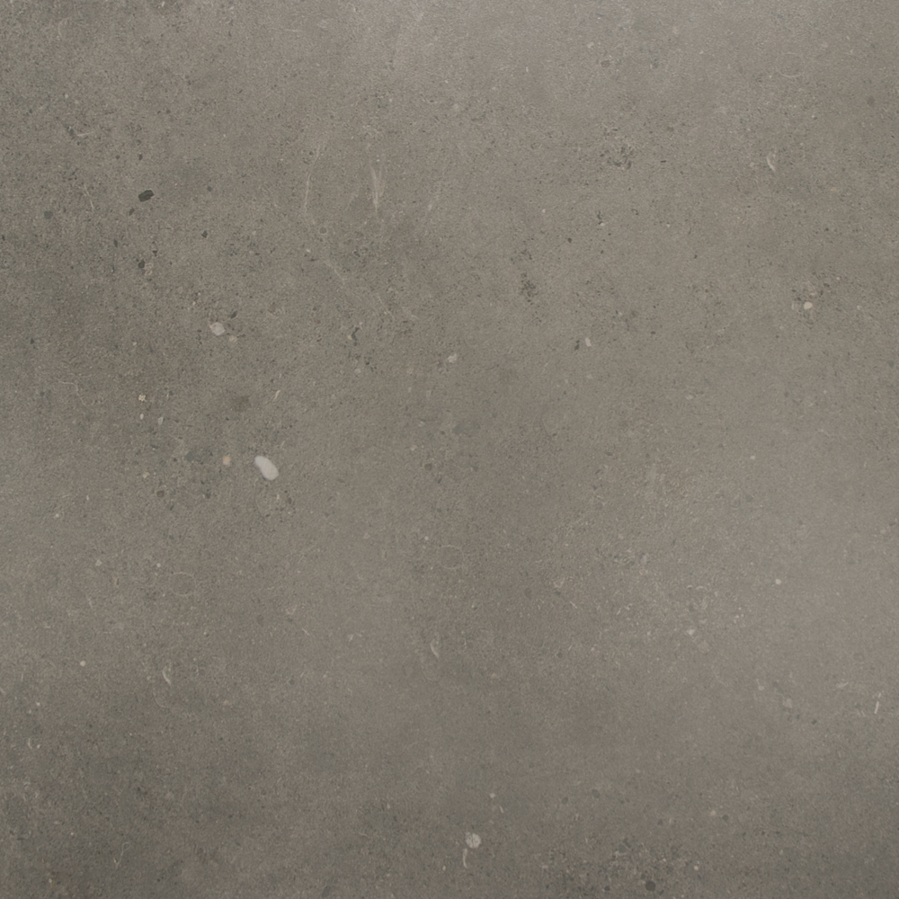 Fossil Dark
