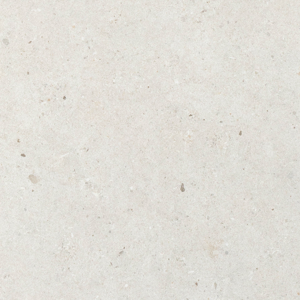SAM Fossil White