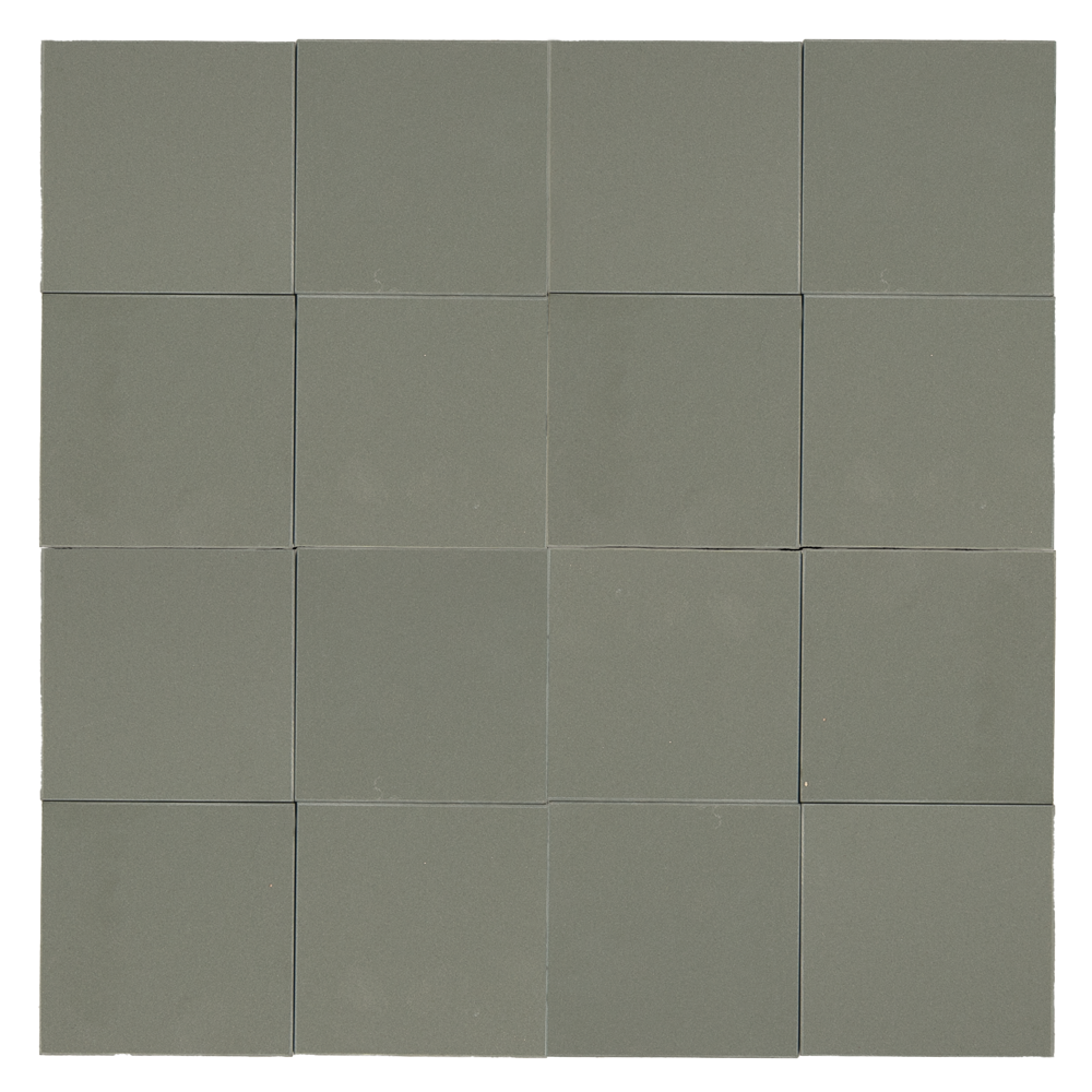Modular Algae