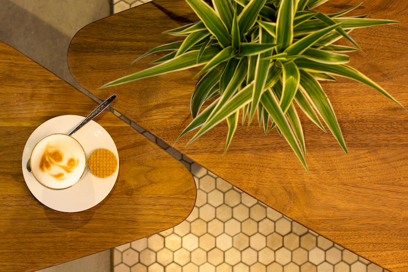 Mosaic Hexagon Plain Bottocino