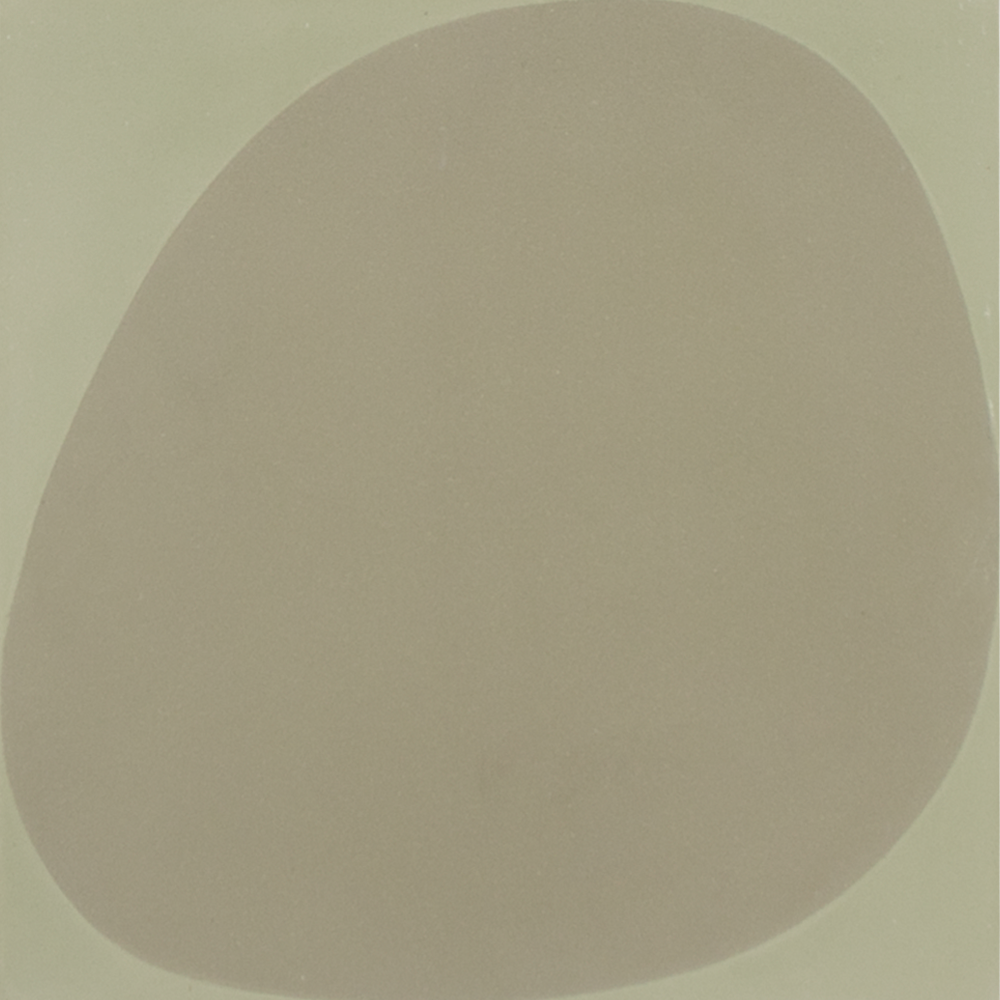 SAM Stones Sage Fungus