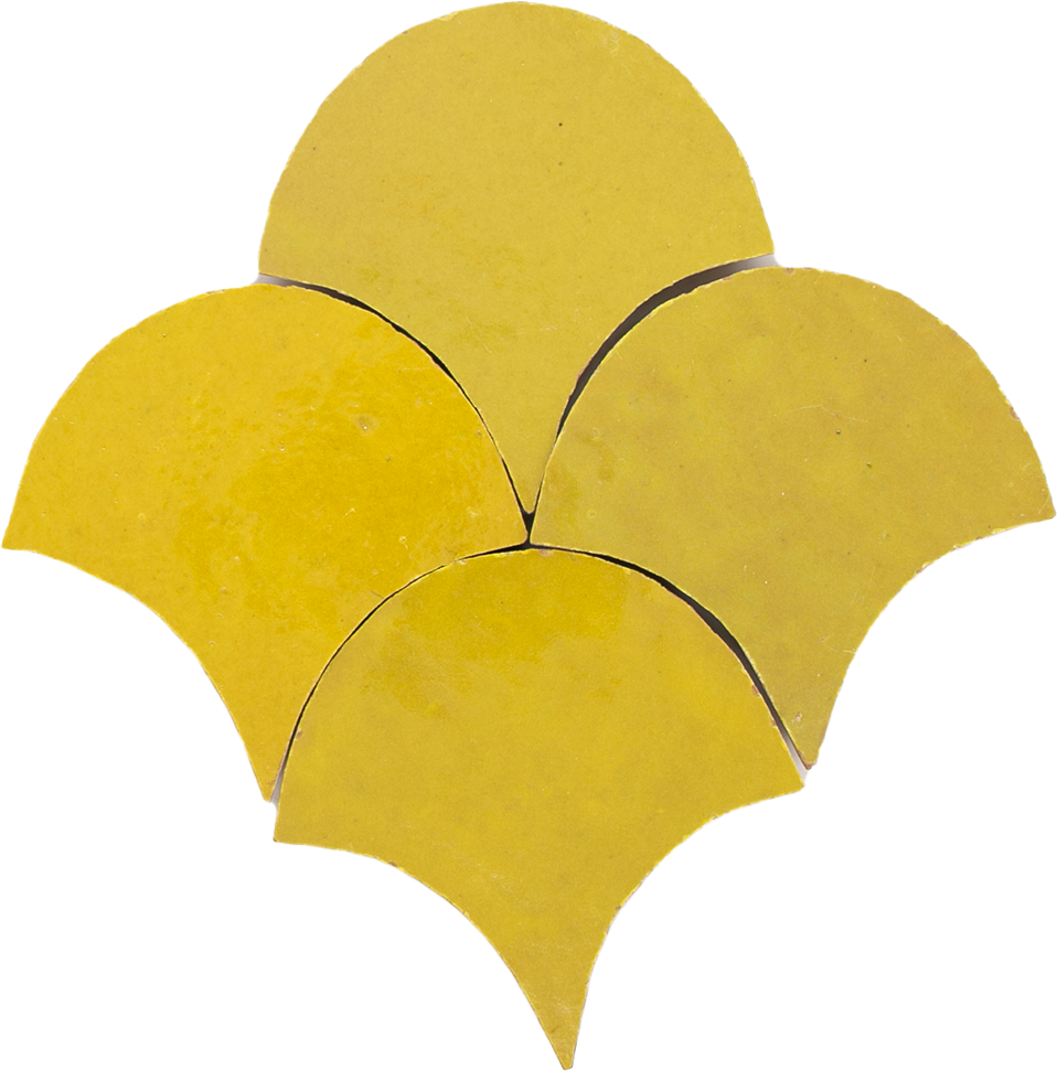 Zellige Citron Poisson Echelles