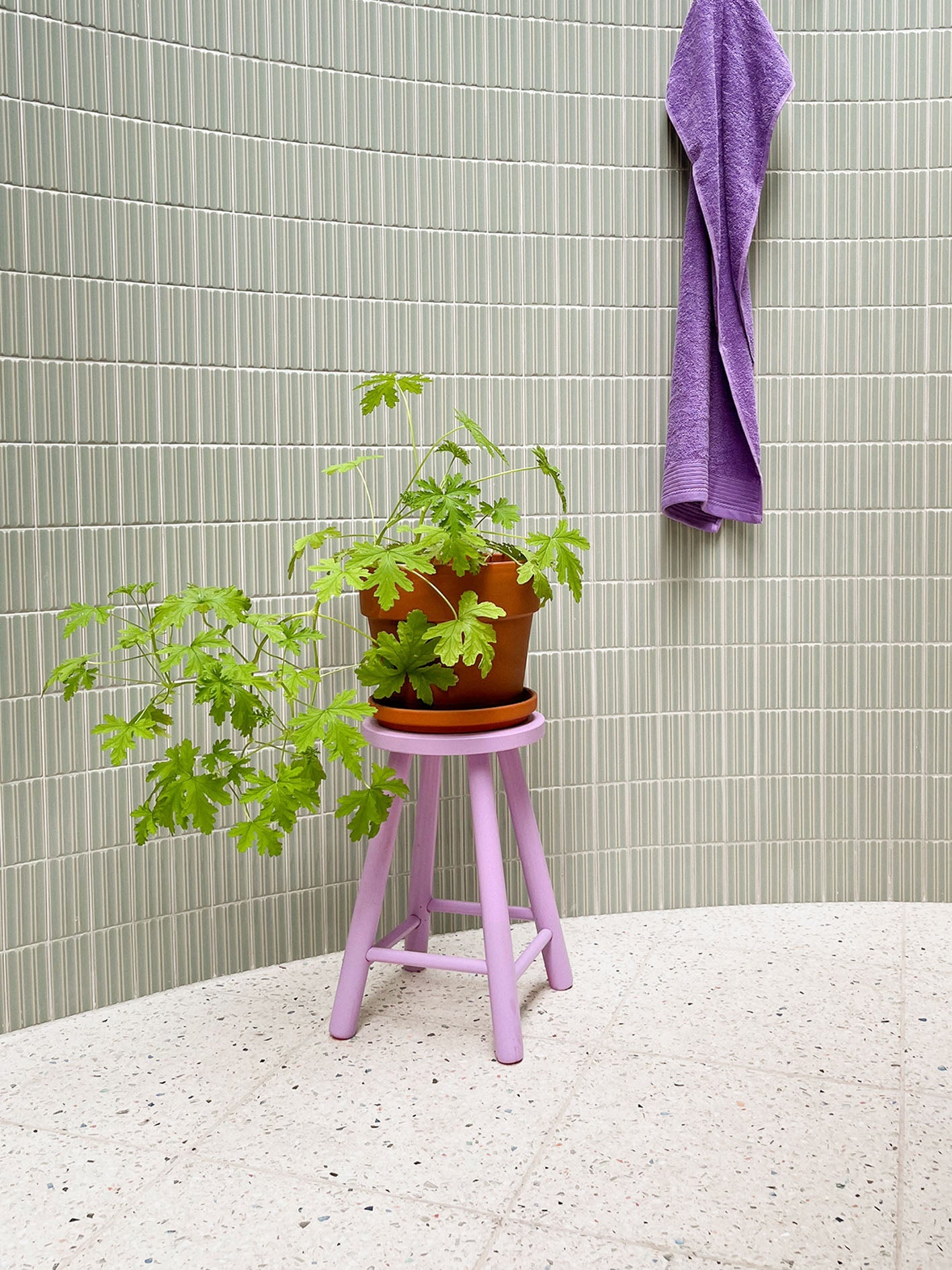 Terrazzo Cassata
