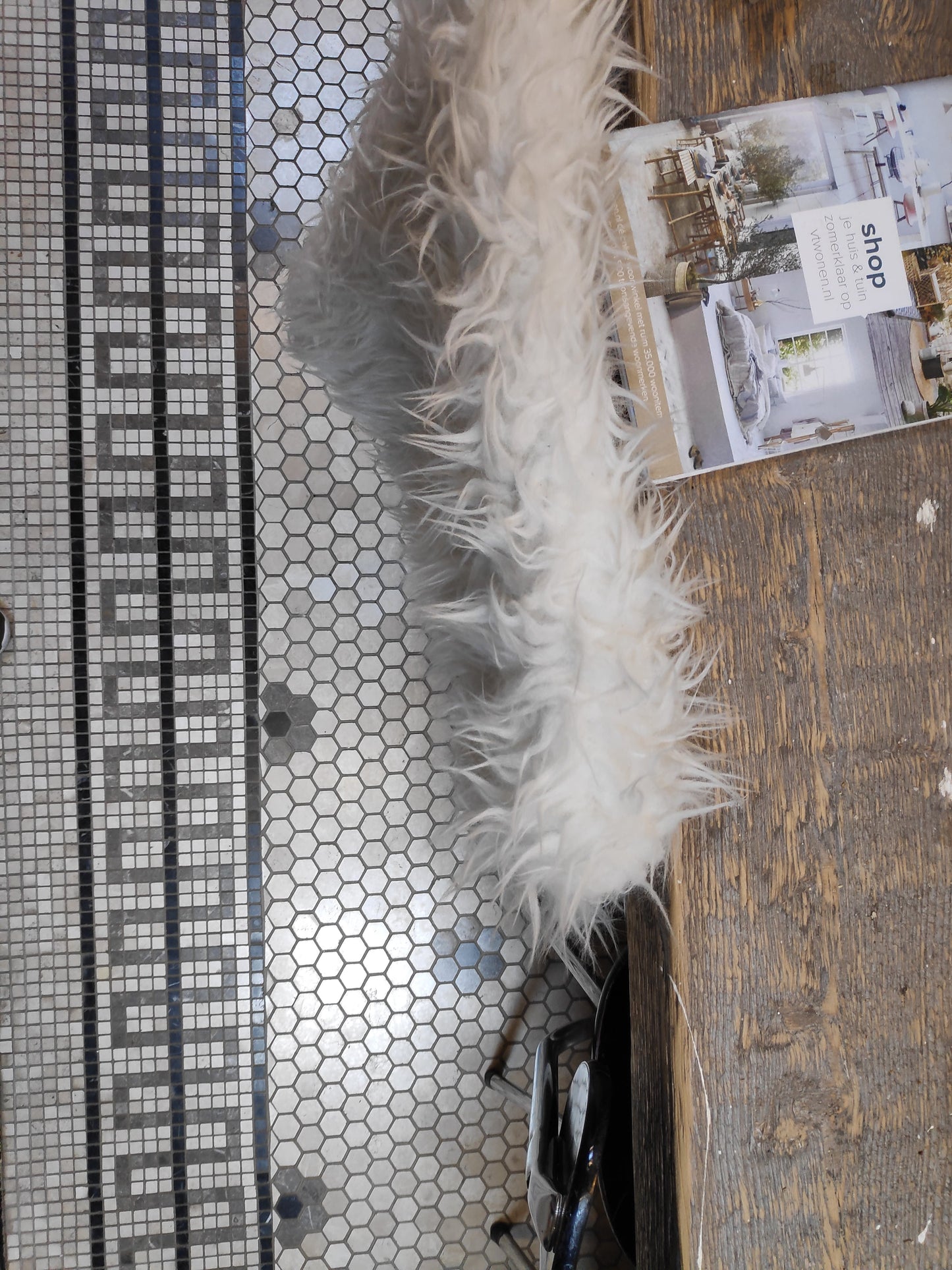 Mosaic Border Pattern Bottocino