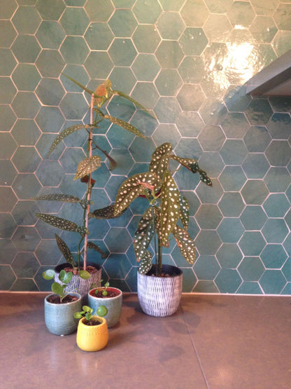 Zellige Atlas Petrol Hexagone