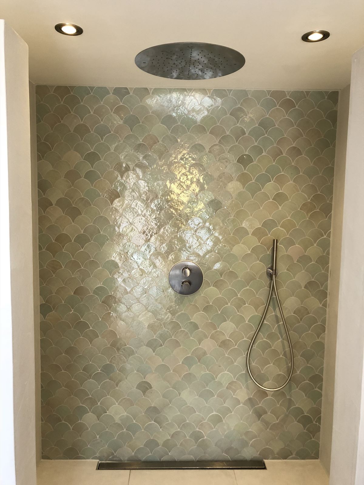 Zellige Vert Clair Poisson Echelles