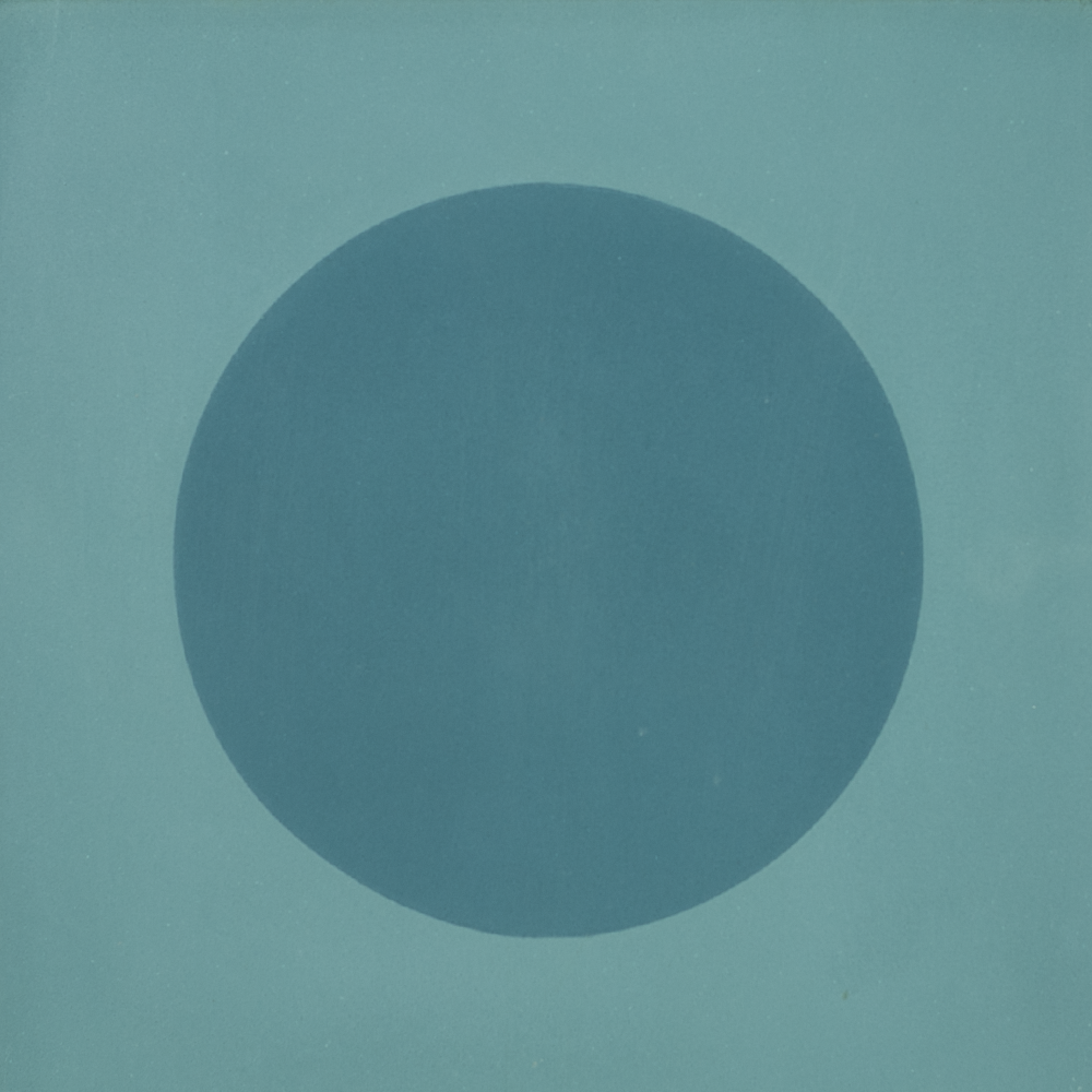 DOT 31