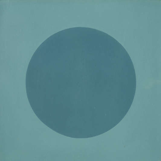 DOT 31