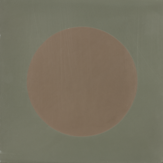 DOT S839