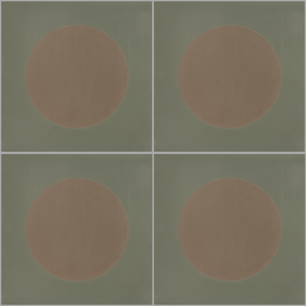 DOT S839