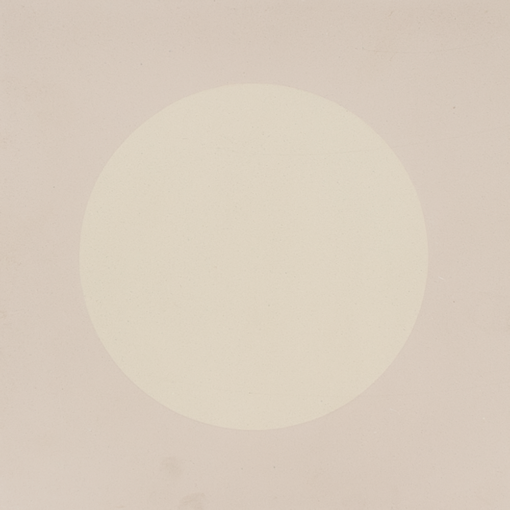 DOT S873