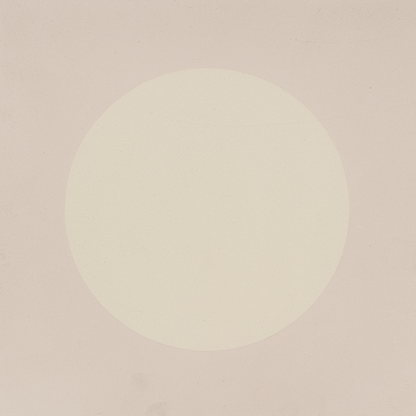 DOT S873
