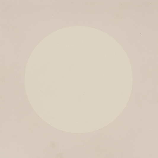 DOT S873