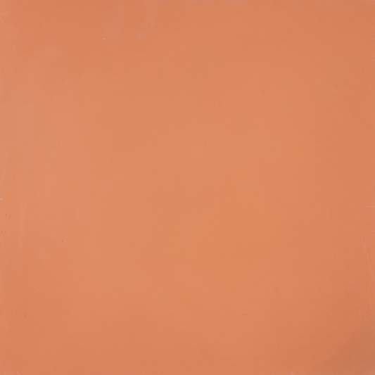 SAM Egal Orange S2.4