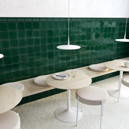 Esmalte Cocodrilo Banda