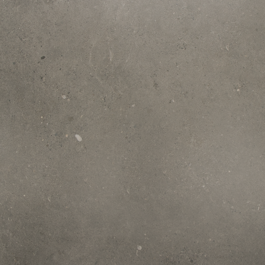 Fossil Dark