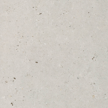 Fossil Grey