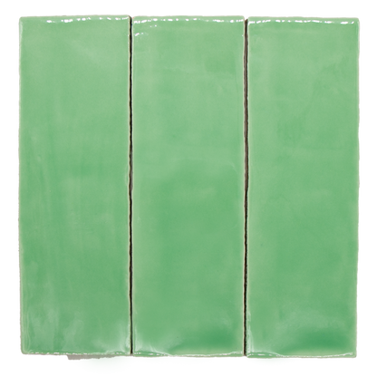 SAM Ibiza Verde T-2