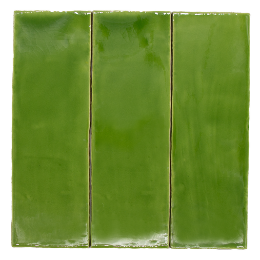 SAM Ibiza Verde T-5
