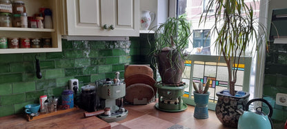 Manual Antic Green