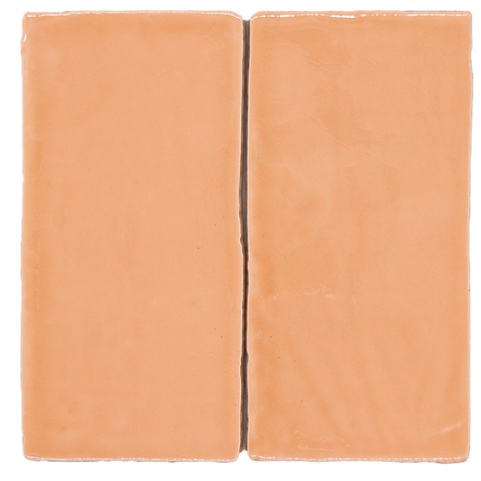 Manual Craquelé Pesca