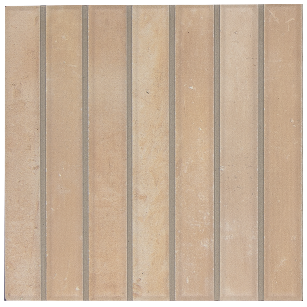 SAM Barritas Biscuit