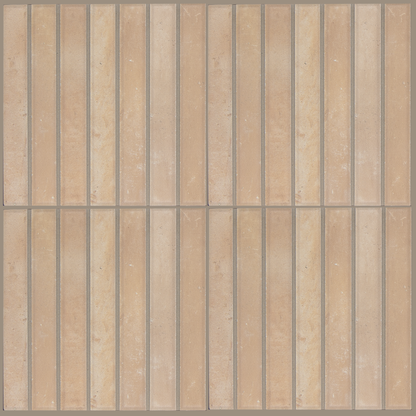 SAM Barritas Biscuit