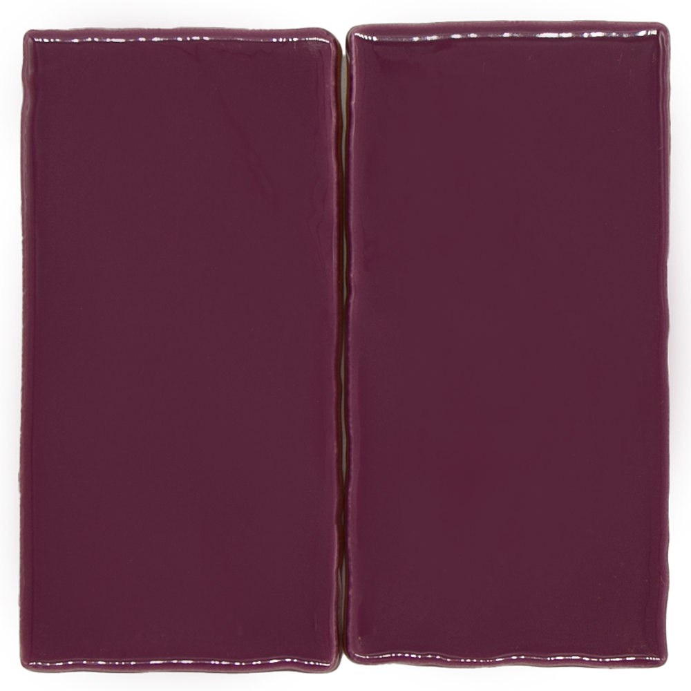 SAM Manual Grape
