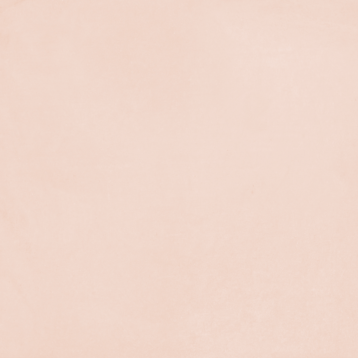 Pattern Plain Rose