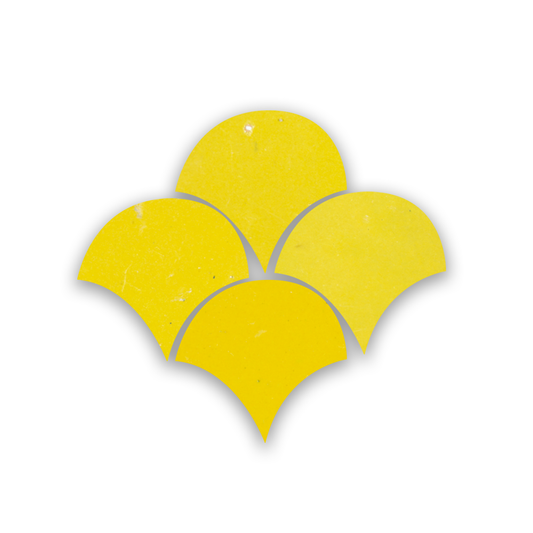 Zellige Citron Poisson Echelles