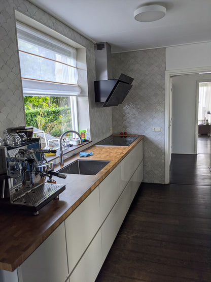 Zellige Blanc Poisson Echelles