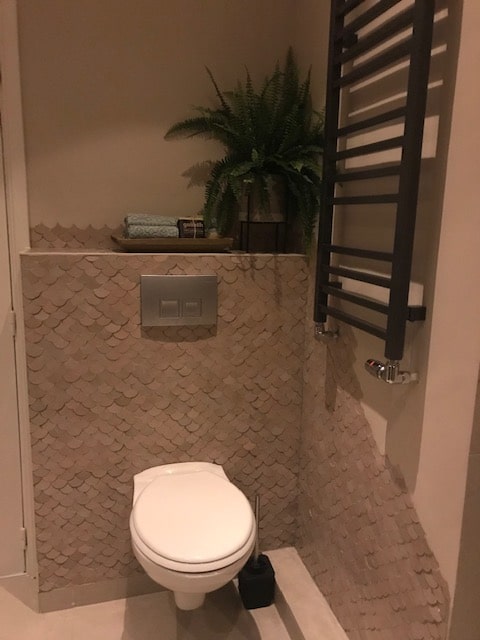 Zellige Ecru Poisson Echelles