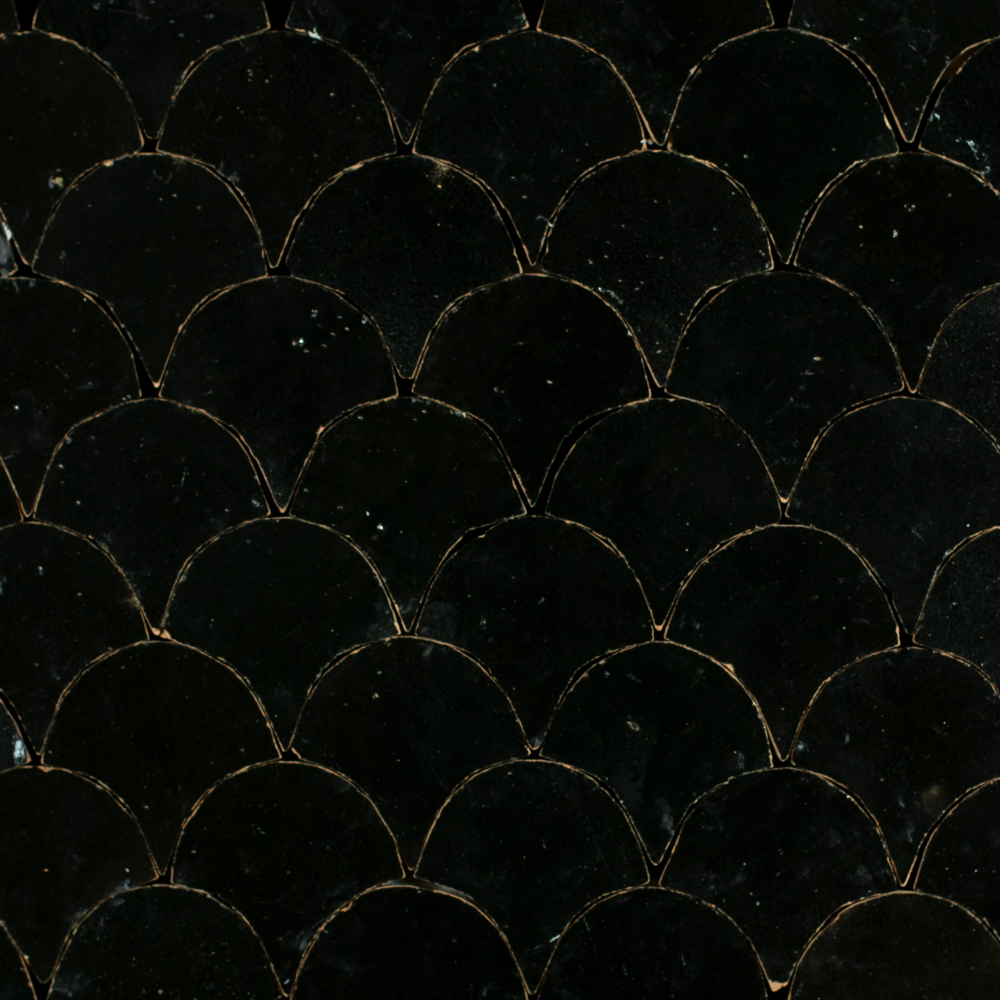 Zellige Noir Poisson Echelles