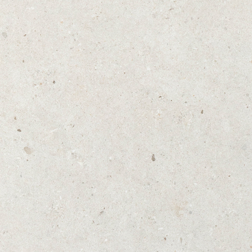 SAM Fossil White