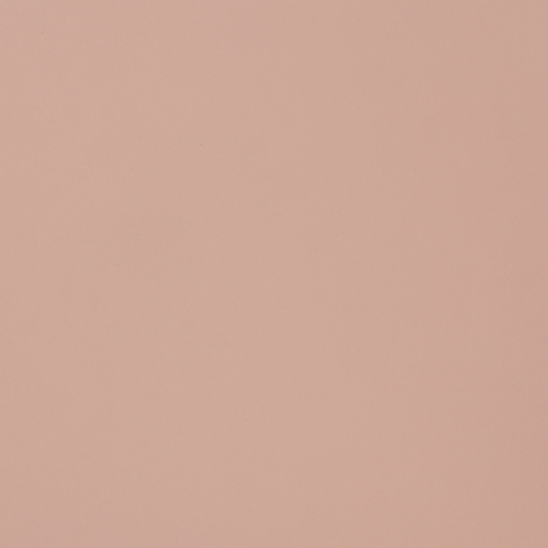 SAM Shades Pink